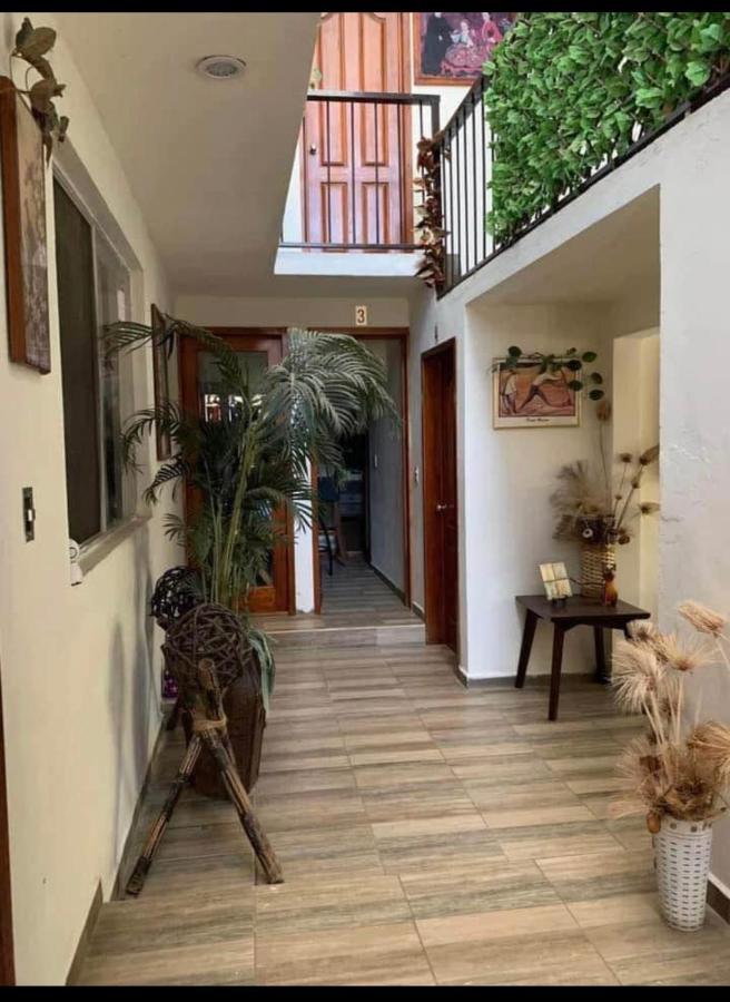מלון Oaxaca Casa Grey מראה חיצוני תמונה