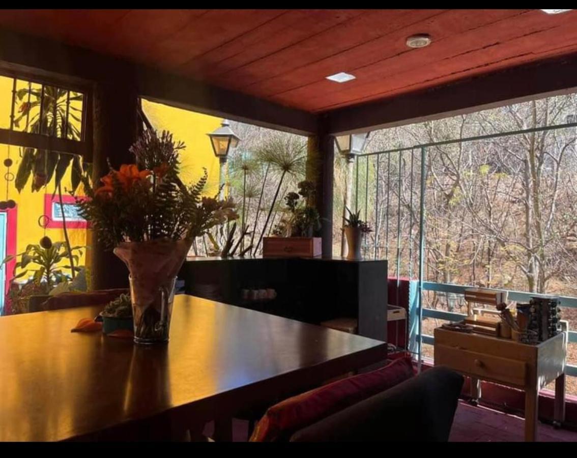 מלון Oaxaca Casa Grey מראה חיצוני תמונה