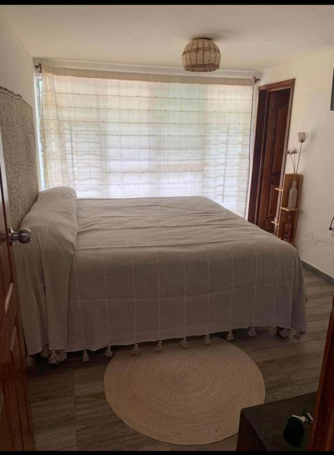 מלון Oaxaca Casa Grey מראה חיצוני תמונה